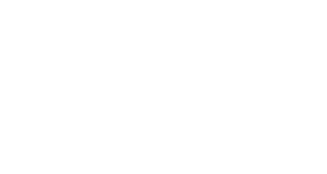 twin city